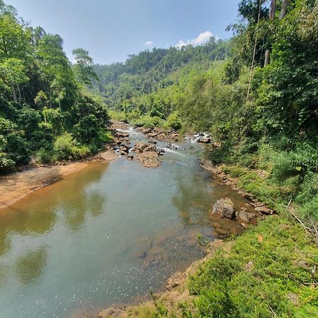 Rainforest River Bay Deniyaya Exterior foto